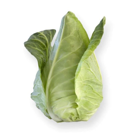 Organic CABBAGE POINTED (Sweetheart)