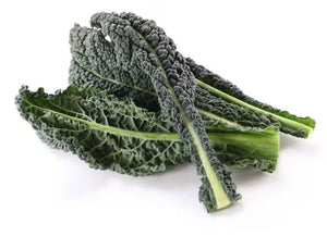 Organic Kale Black Cavallo