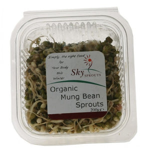 Organic Mung Bean Sprouts
