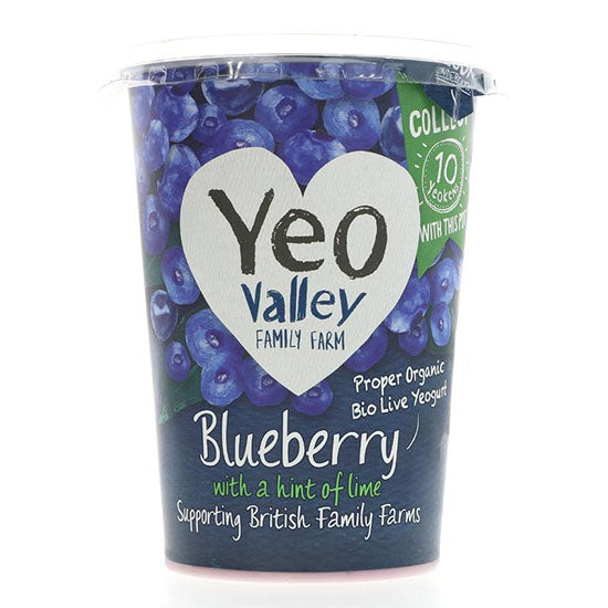 Blueberry Yoghurt Organic