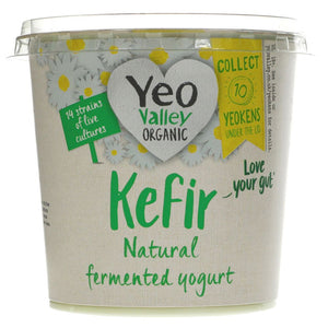Natural Kefir Yoghurt Organic