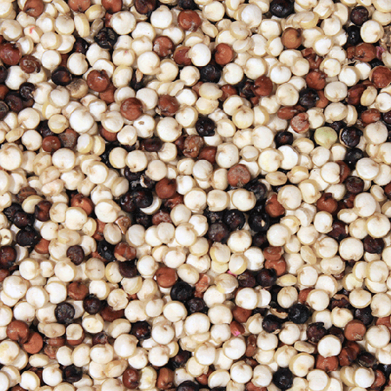 Quinoa Tricolore ORGANIC