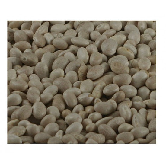 Haricot Beans ORGANIC