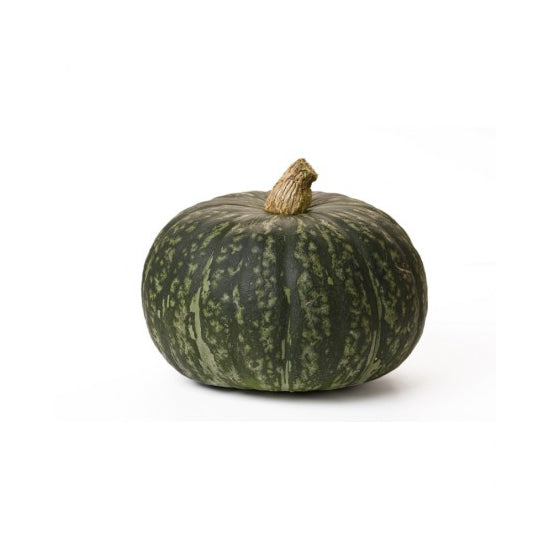 Organic PUMPKIN GREEN