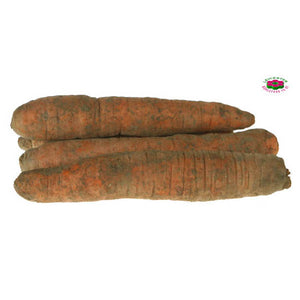 Organic CARROTS  unWashed