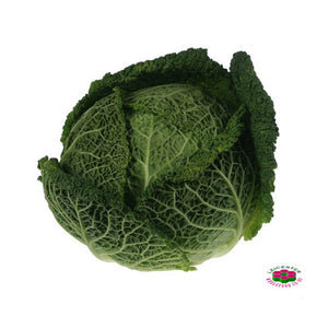 Organic CABBAGE SAVOY