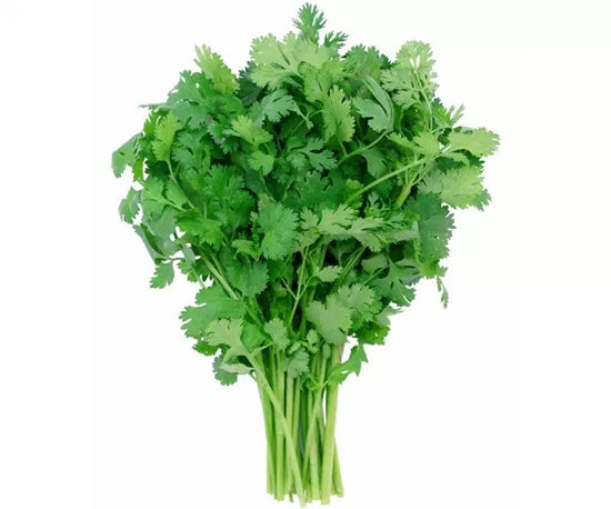 Organic CORIANDER