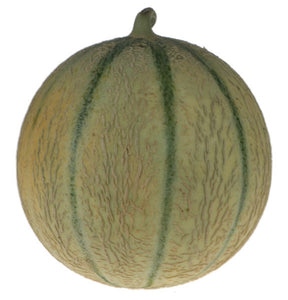 Organic MELON /Galia