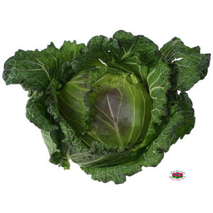 Organic Cabbage January King